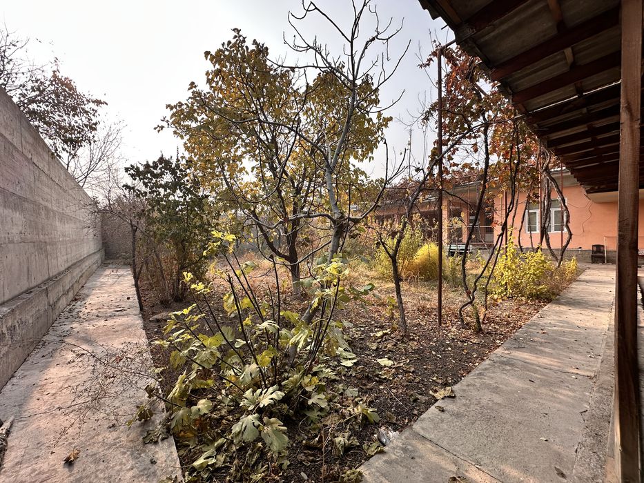 Farg’ona Xo’jamag’izda chek SROCHNA SOTILADI