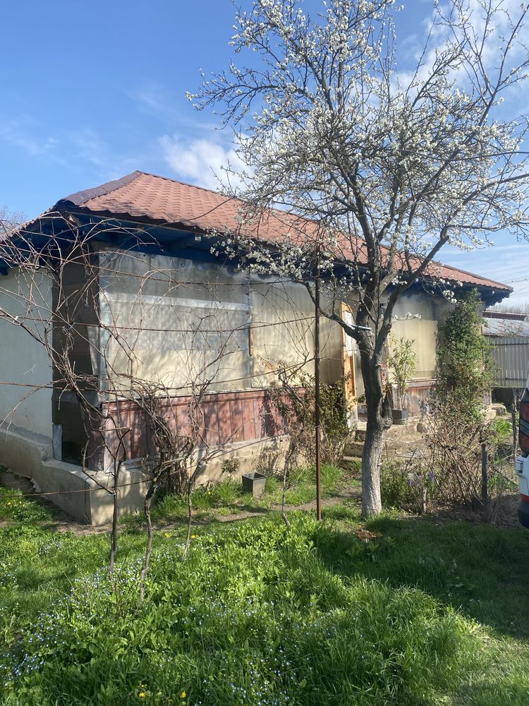 Casa cu anexe Teleorman