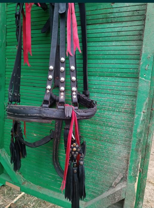 Ham de vanzare 250 de lei