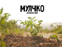 Дървесен мулч - защита от слънцето