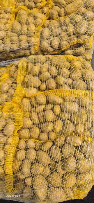 Vand cartofi galbeni,calitate extra