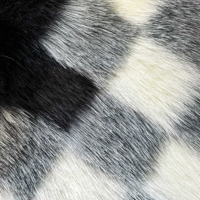 Geaca Louis Vuitton Premium