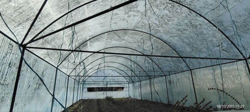 1 sotixli issiqxona (парник)sotiladi.‼️