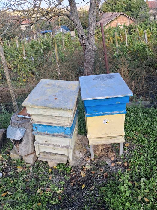 Оборудване за пчели