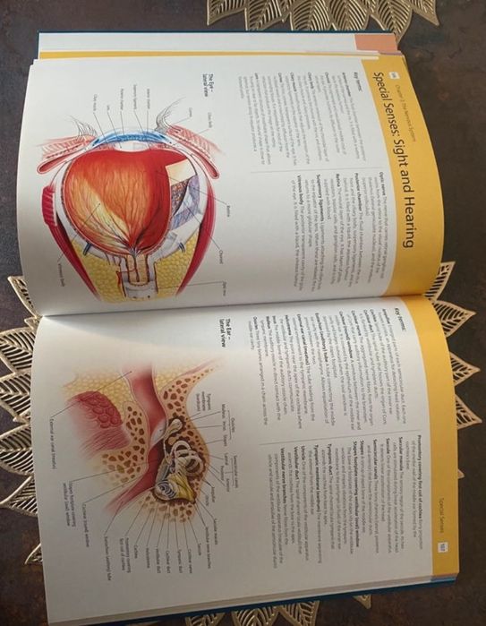 Anatomy Student’s Revision WorkbooK