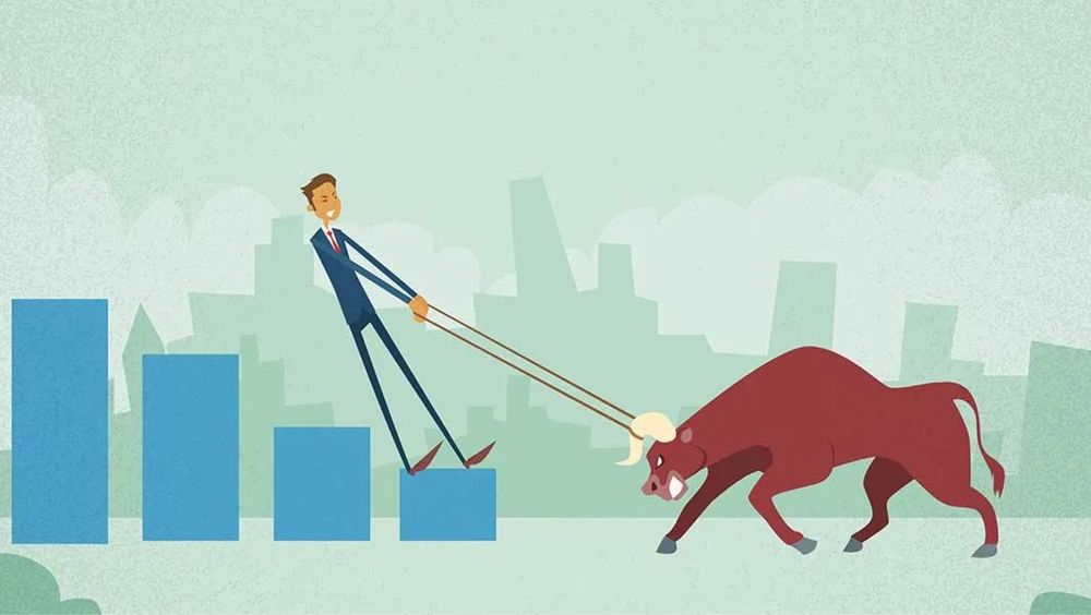 Ferma tashkil qilish uchun investor kerak