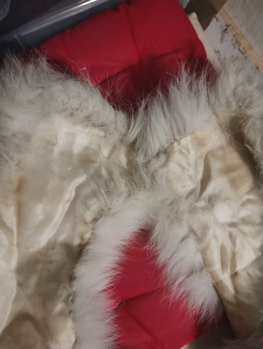 Guler blana de vulpe polară