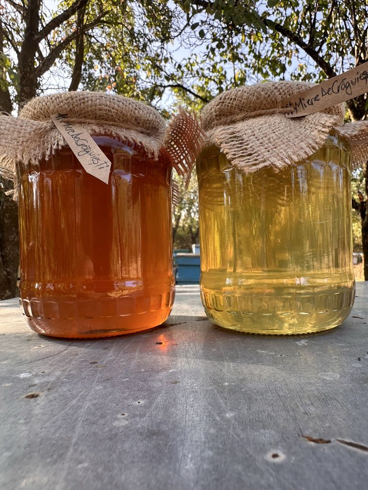Vand miere de faneata (din flori de pe dealuri) 100% naturala