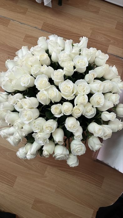 Цветы, голландские розы, метровые