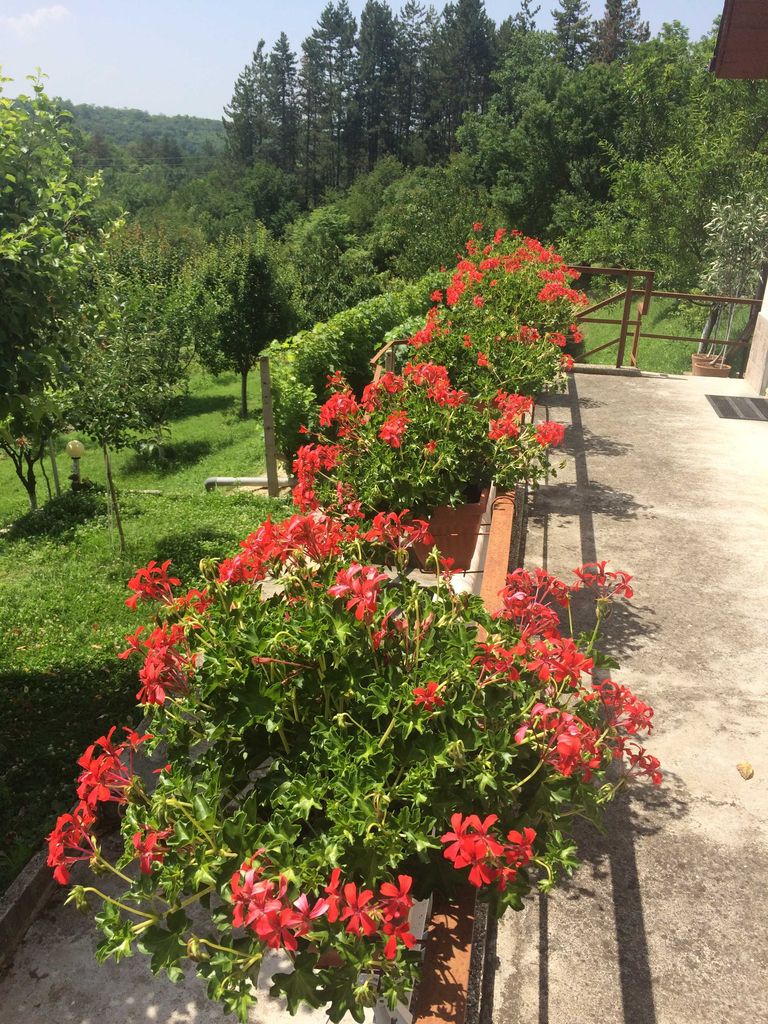 Продава се Къща в Плевен, м-т Стражата - 40 кв.м за 1750 €/кв.м - Снимка #16