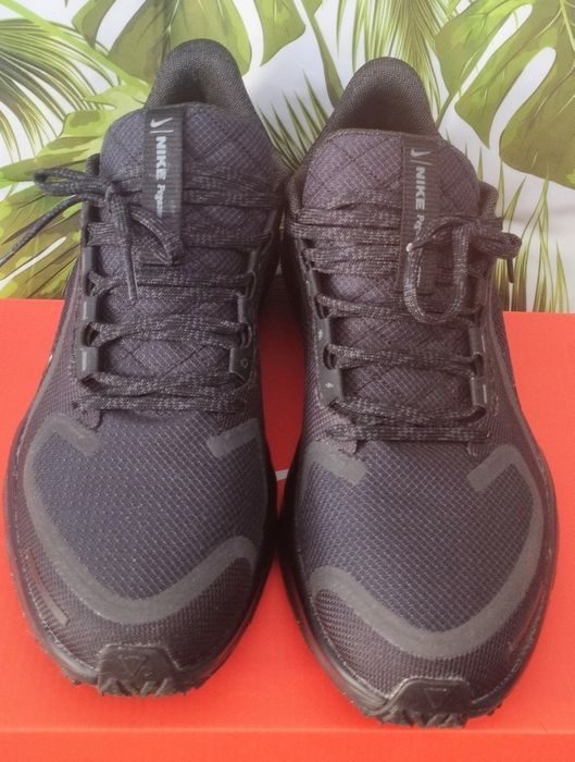 Nike Pegasus Gore-tex 40