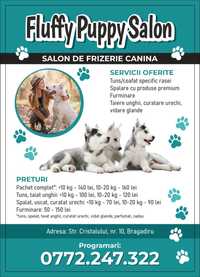 Frizerie canina Bucuresti/Ilfov