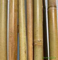 Бамбукови пръчки колчета за градина 120/150/180/210/240/295 см