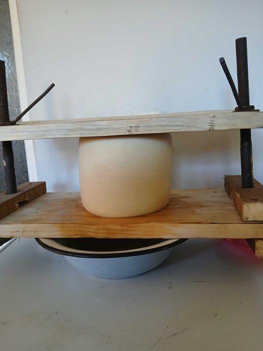 De vanzare produse lactate din lapte de VACA