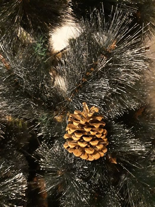 Brad de Crăciun, 240 cm cu suport inclus