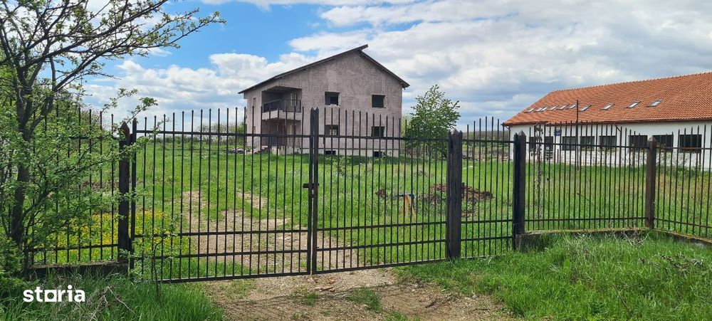 Vila (S+P+E+pod) si 10.000 mp (intravilan)de vanzare in Ulmi (DN71)