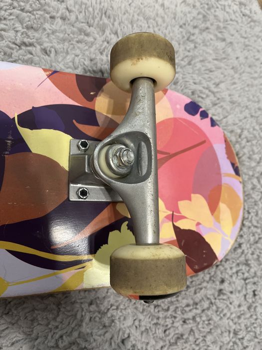 Vand Skateboard Pro Element Fauna Party 7.75'' Complete