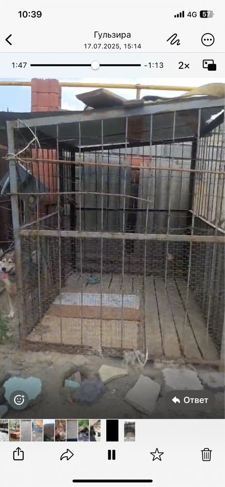Вольер для собак