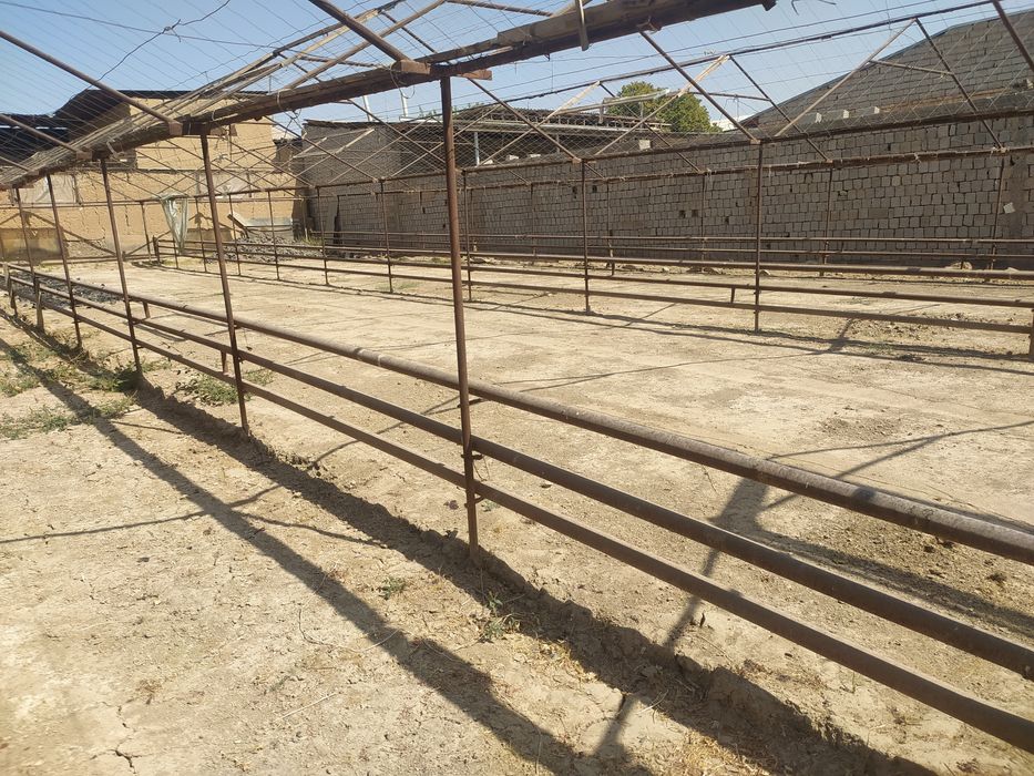 Nazarbek Turkistan Saxavot maxalla 8sotik he sotladi