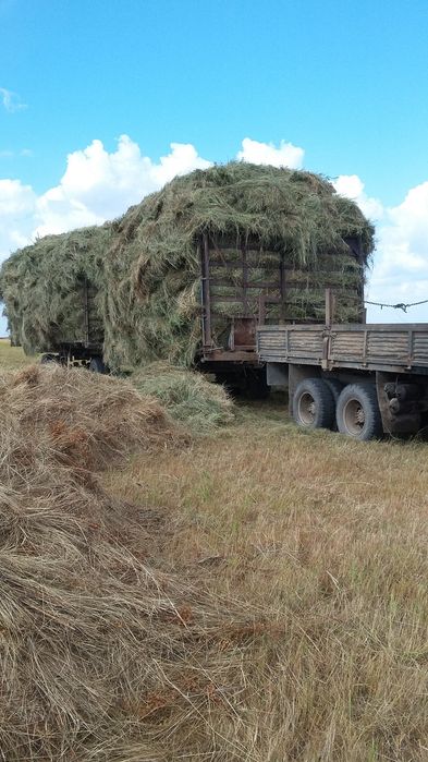 Продам сено россыпью разнотравье