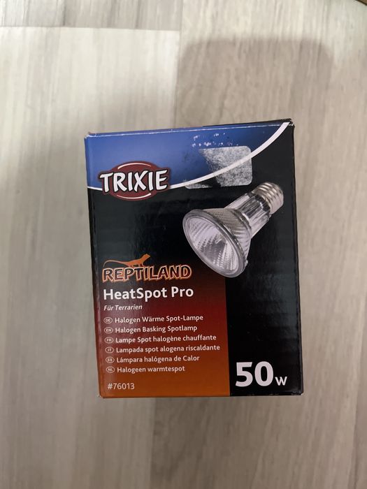 Аксесоари за влечуги / брадата агама