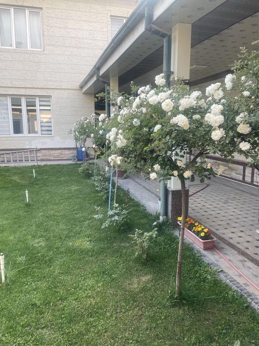 Продажа домов