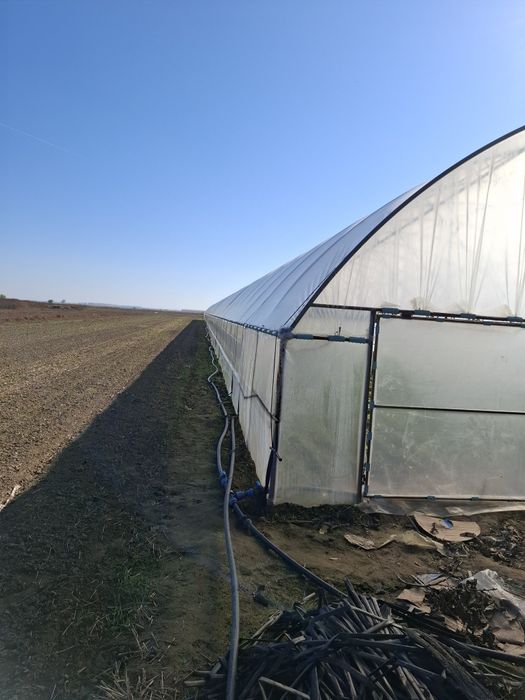Construim solarii pentru legume si flori la cheie