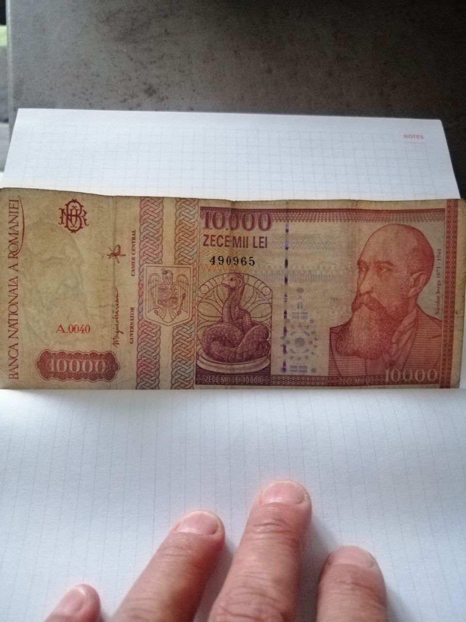Vând bancnotă 10.000 lei, Nicolae Iorga, 1994