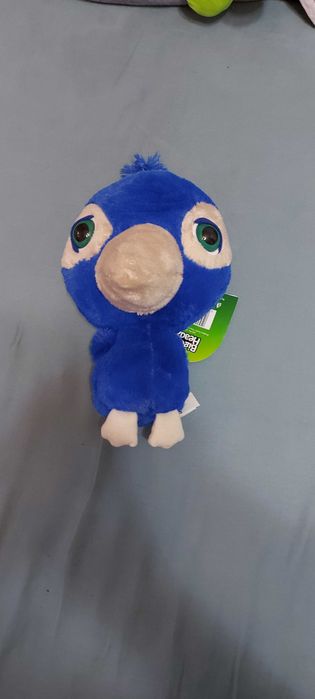 Plusuri paun si vacuta