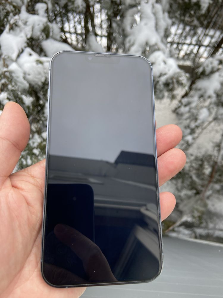 Apple iPhone 13 Pro Max 256 Gb