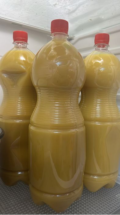 Жылкы майы конски жир натуральный