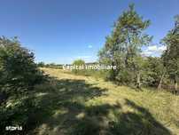Vânzare teren Reșița: 17260 mp, Calea Caransebeșului