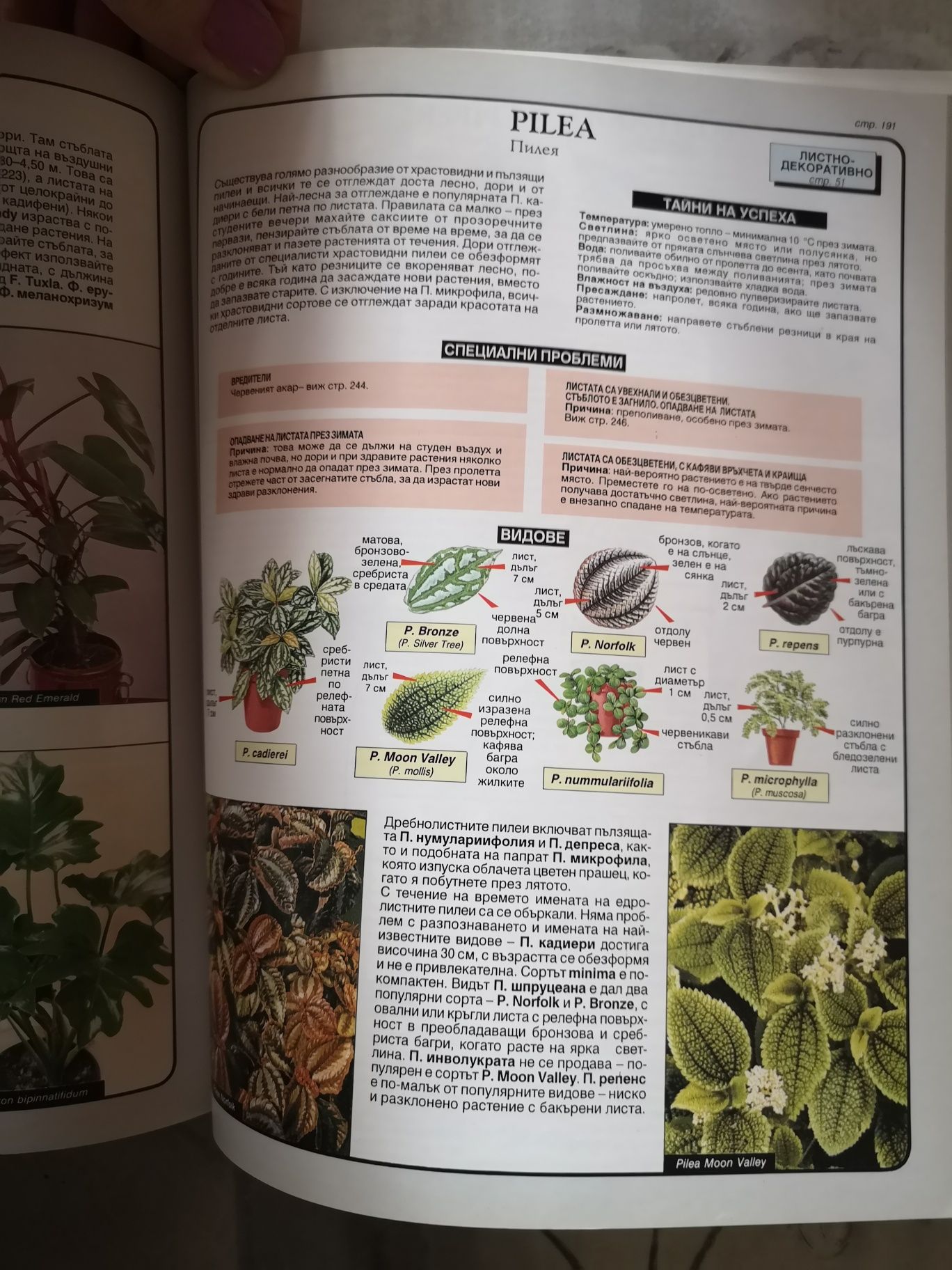 Книгата "Експерт по стайните растения"