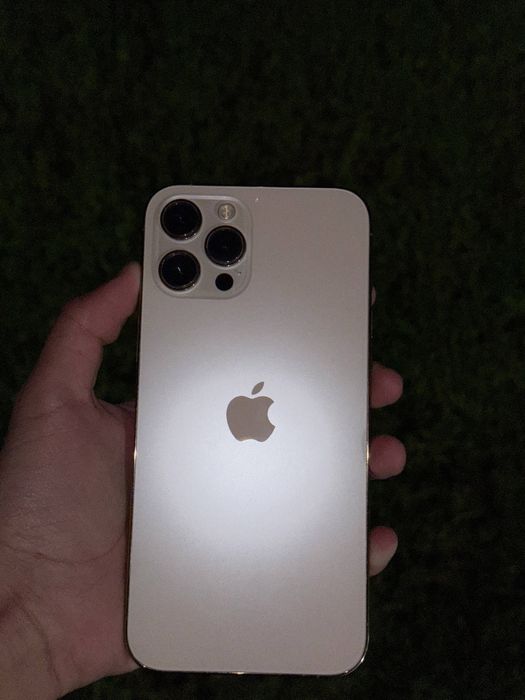 Iphone 12 pro max