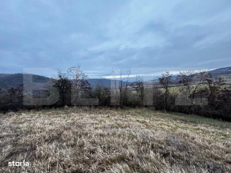 Teren extravilan 4300 mp, zona Criseni - Paclisa