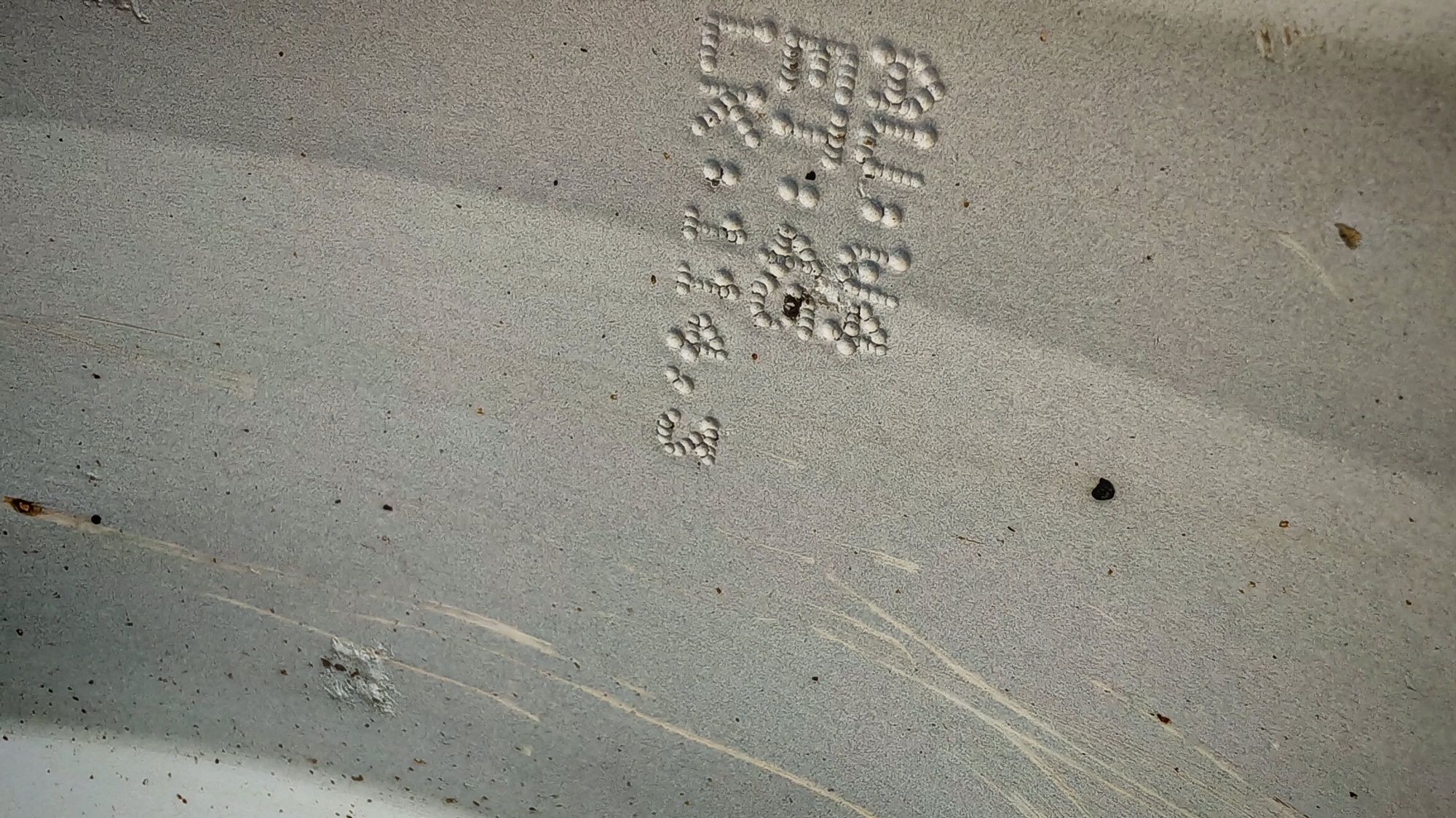 Jante aliaj R16, 5x114,3 Renault,Toyota, Kia