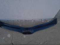 Deflector laguna1