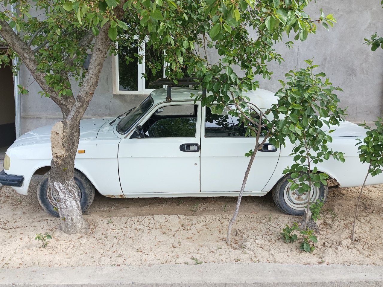 Volga gaz 31029 metan balon bor