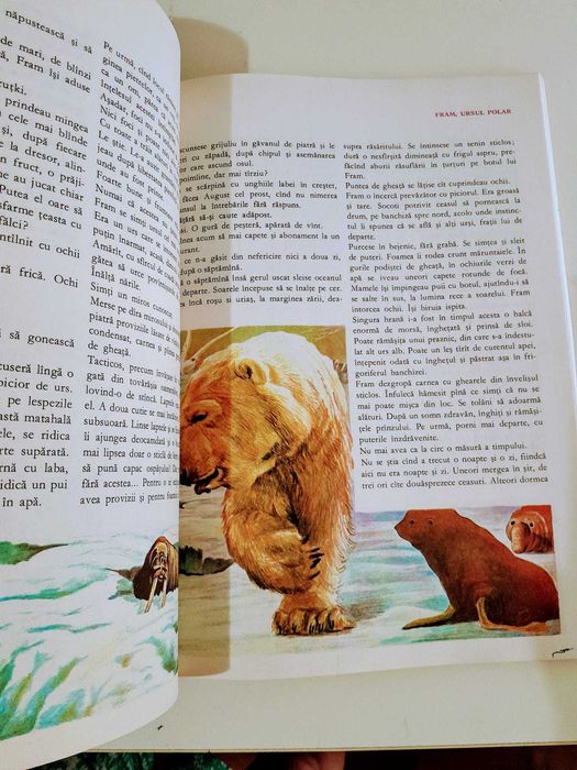 Cezar Petrescu - Fram , ursul polar