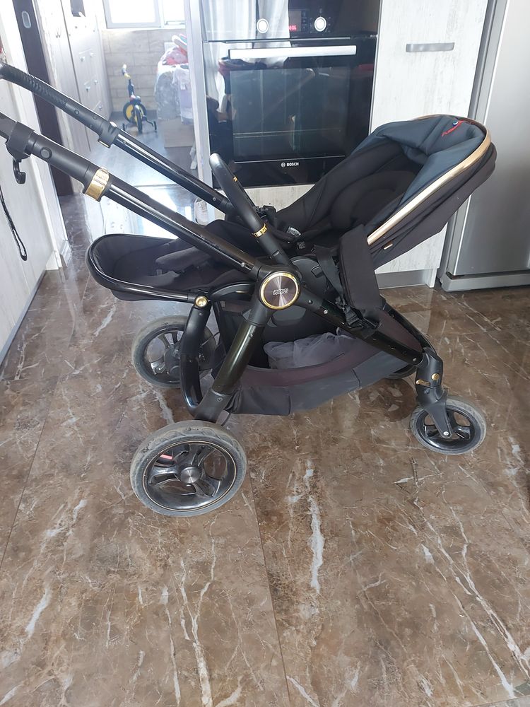 Mamas and papas ocarro