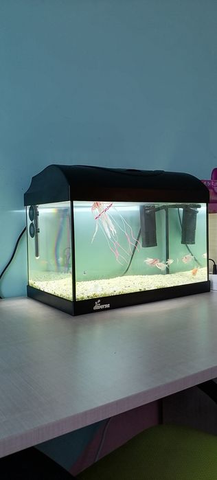 Оборудван аквариум с рибки 25л.