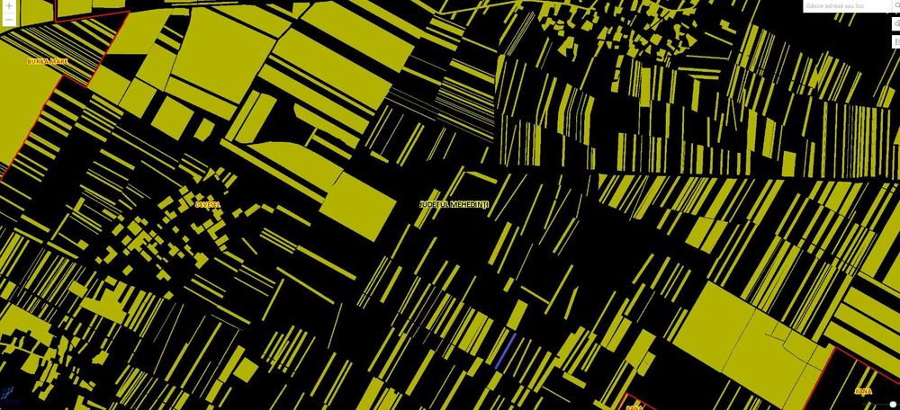 Vand terenuri agricole in Devesel , total 5 parcele , cadastru