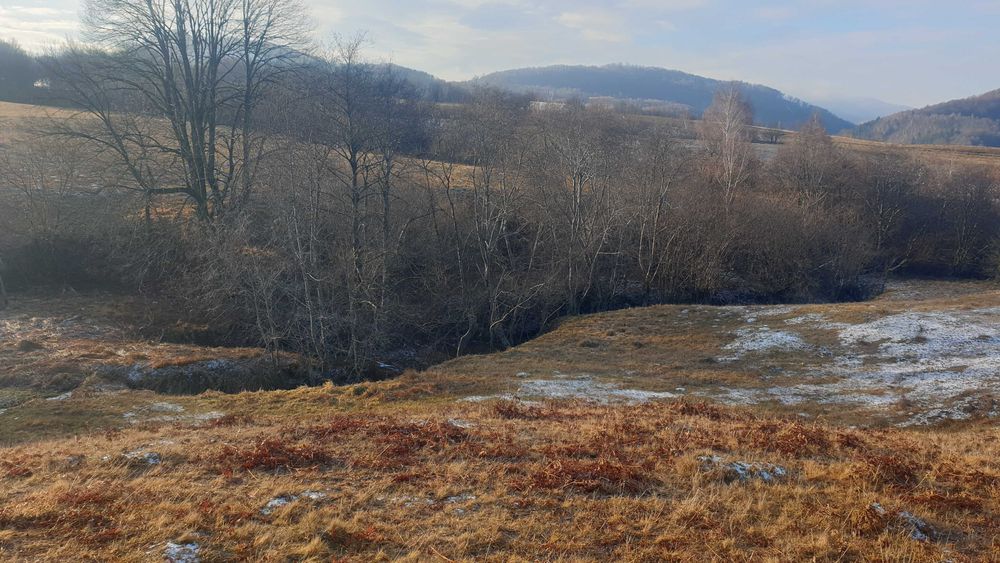 De vanzare teren extravilan in comuna Ciucea ,jud.Cluj