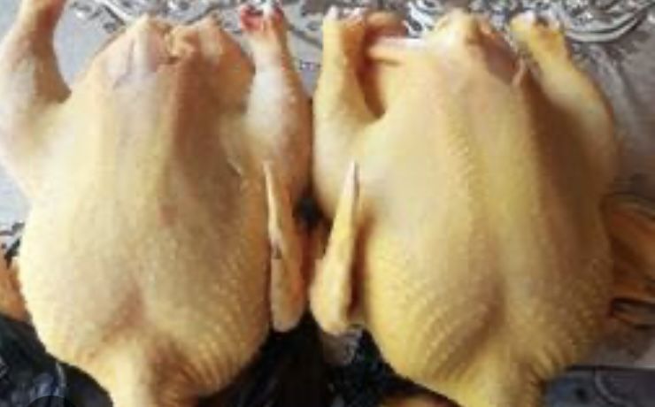 Мясо домашних бройлеров