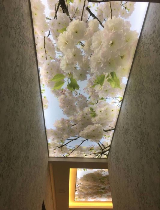 Натижной потолок гарантия 20 лет natijnoy potolok garantiya 20 yil