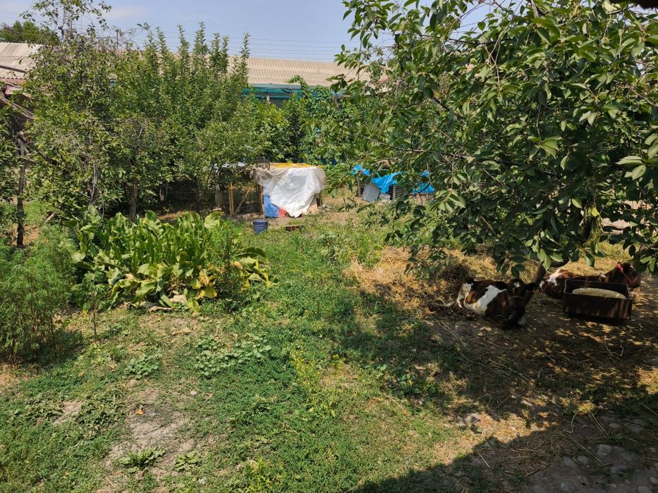 Продам часть своего участка Новый Ташкент