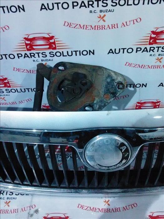 broasca capota skoda fabia 1