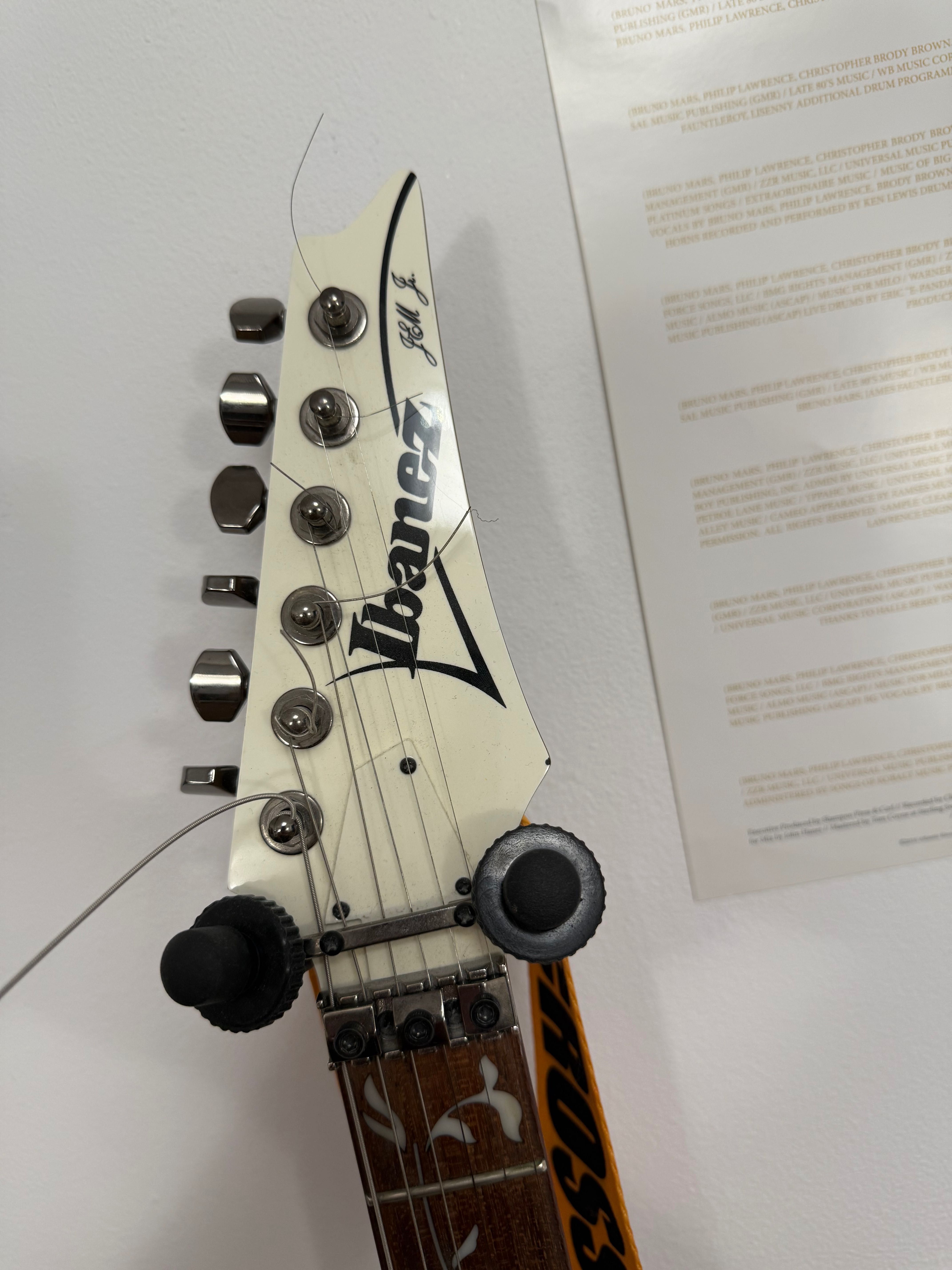 Chitara Ibanez Jem jr Steve Vai
