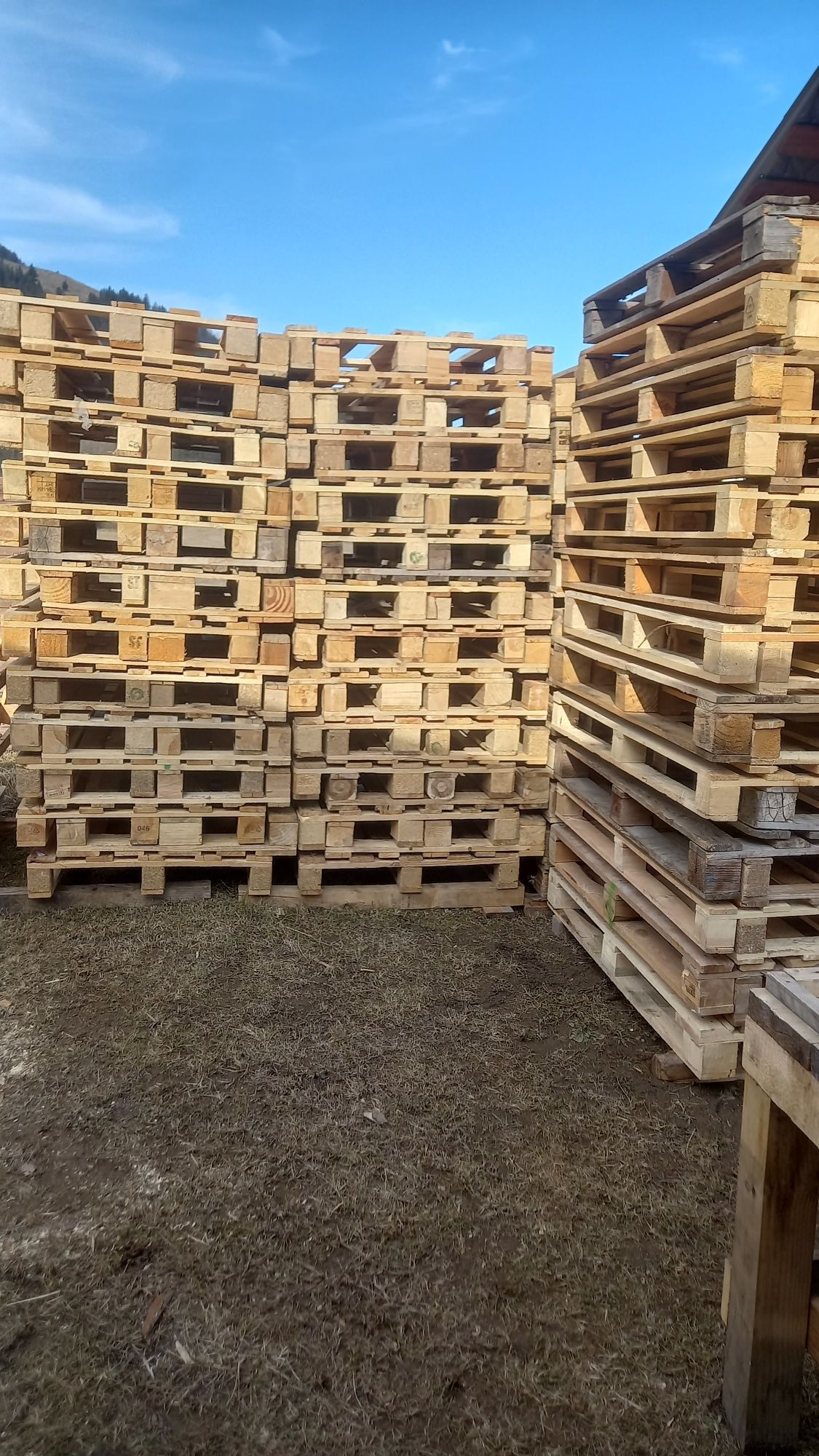 Vând paleți euro/non euro 1200x800