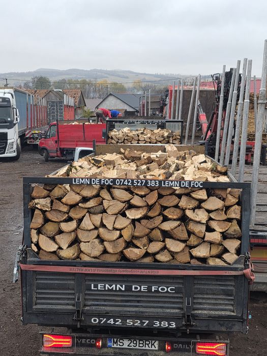 Lemn lemne de foc uscate esență tare
